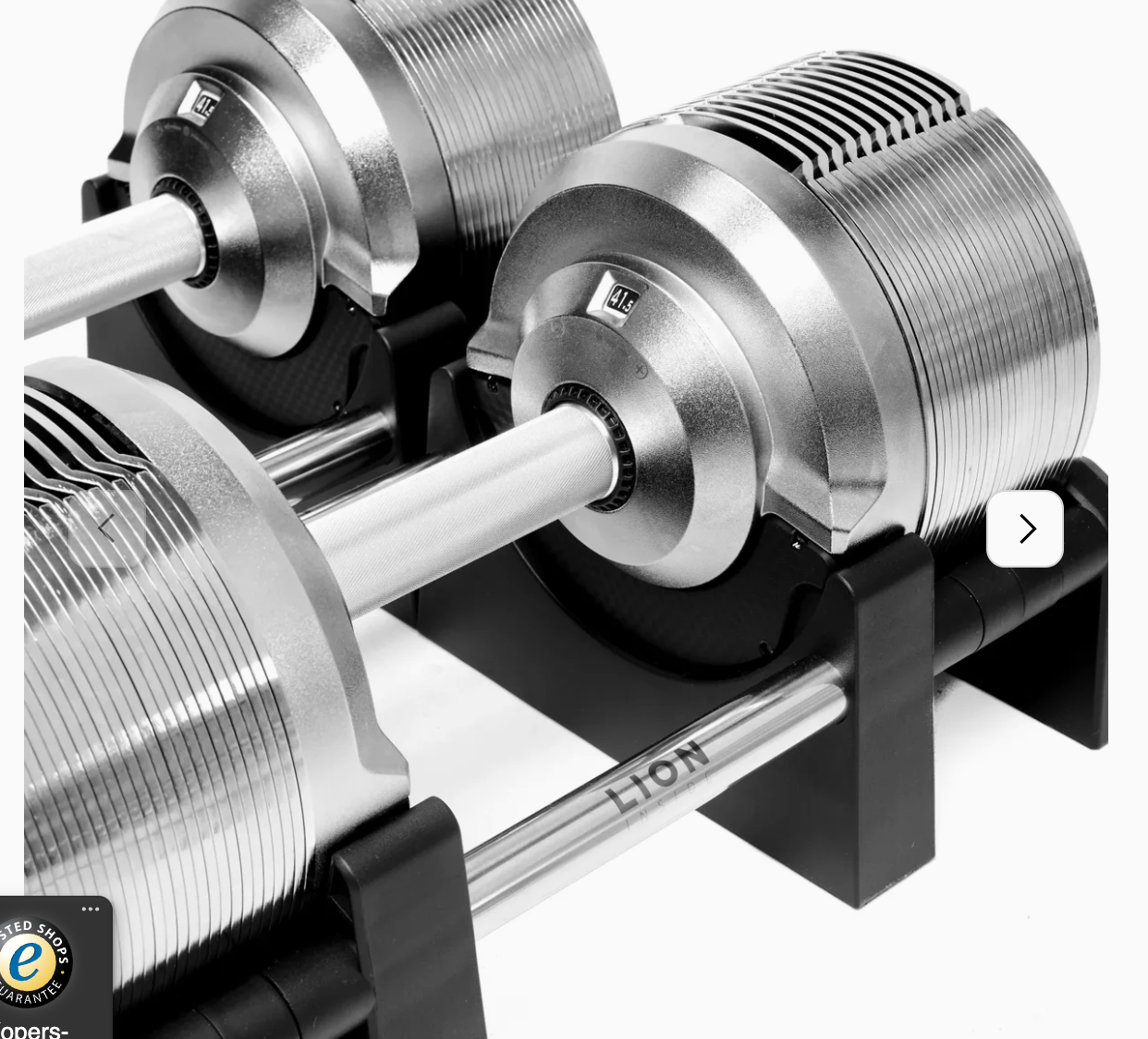 Zestaw 2 regulowanych hantli + regulowana szyna